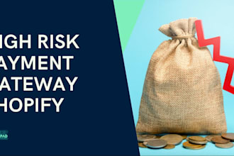 develop high risk payment processor, paypal business account, wise,skrill,stripe