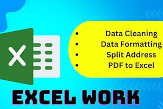 do professional excel data cleaning, formatting
