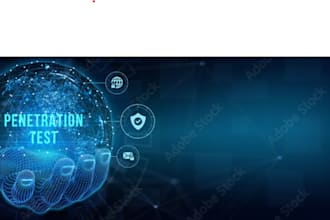 do expert penetration testing for websites and web apps