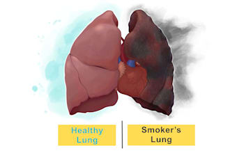 draw beautiful medical illustrations for infographics and covers