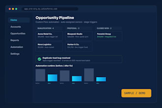 develop, customize, and fix your salesforce CRM
