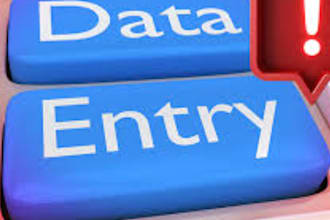 do excel data entry, find emails, data cleaning, admin support