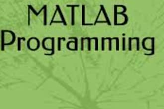 do your matlab programming, image, signal processing and simulink projects