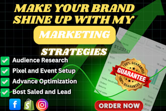 be your facebook ads specialist for audience targeting and optimization