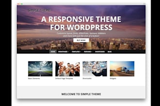install themes, plugins and import demo content on wordpress