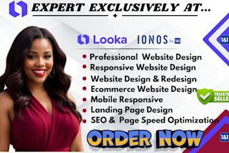 design and redesign high converting website on looka and ionos seo optimization