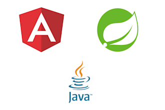 develop websites using java, spring boot and angular