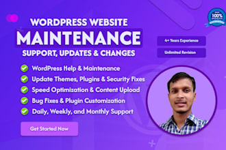 provide wordpress support, website maintenance and updates