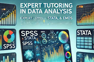 do statistical data analysis with spss, rstudio, stata, power bi and excel