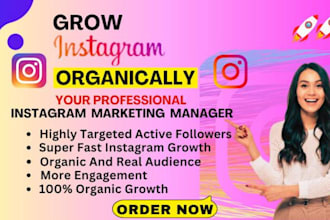 grow up 1000 instagram followers very high quality