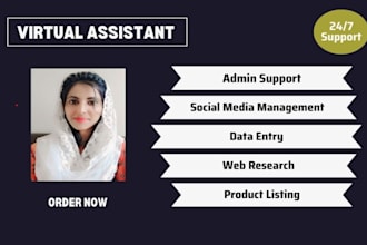virtual assistant for data entry work, admin support