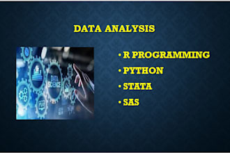 do statistical analysis projects with reports using python, excel, r, or spss