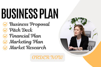 write an investor ready business plan and financial plan