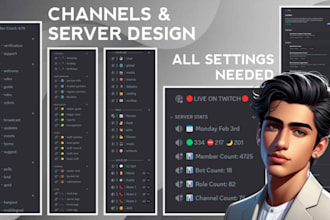 setup full professional discord server in less than 24h
