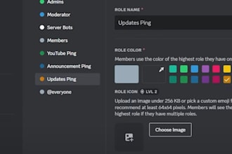 setup custom and professional discord server