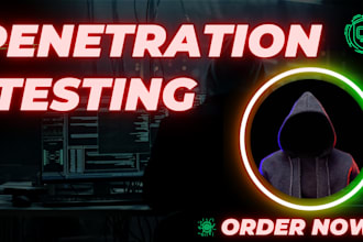 conduct penetration testing and provide detailed penetration test