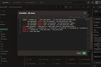 provide oracle apex application maintenance and support