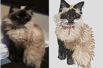 embroidery digitizing into dst pes pxf file in 1 hour