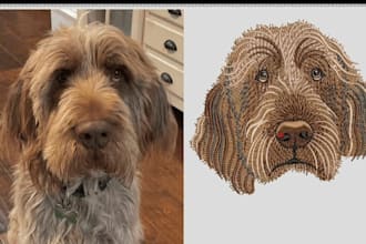embroidery digitizing into dst pes pxf file in 1 hour