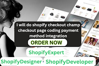 do shopify checkout champ checkout page coding payment method integration
