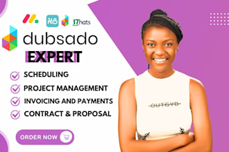 setup dubsado, honeybook, hubspot pages, clay com, apollo io
