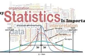 do accounting, finance, statistics and business reports