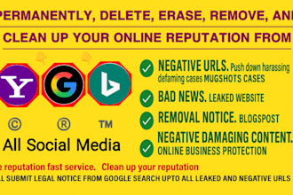 delete negative links, erase damaging google search results,remove mugshots case