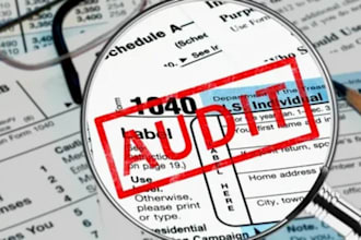 deliver stamped audit reports for your company, irs, uae, sap, llc