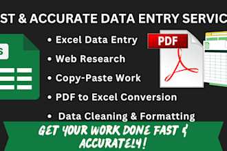 excel data entry, copypaste, web research, and data conversion work