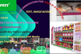 do pro image annotation and data labeling for ai and ml