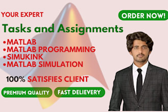 do your matlab programming and matlab simulink tasks and projects