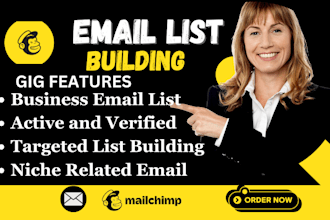 klaviyo email marketing  verified b2b lead generation email marketing campaign