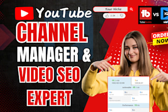 be your youtube channel manager for video seo