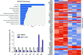 do advanced bioinformatics and ngs analysis