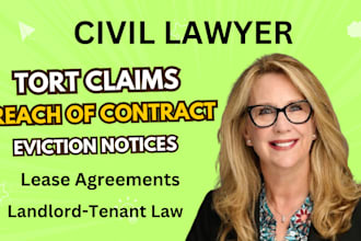 be your lawyer and paralegal in family and civil cases