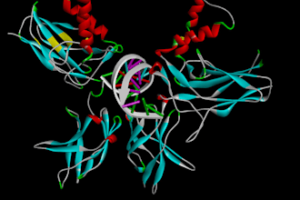 do molecular docking, virtual screening and drug designing
