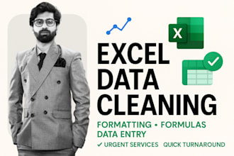 provide expert excel data cleaning, formatting, and data entry services