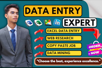 do data entry, data mining, web research, copy paste and excel data entry