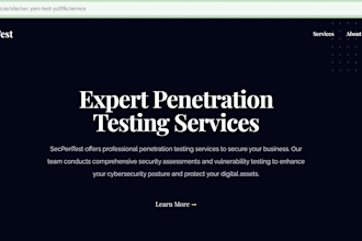 perform professional web application penetration testing