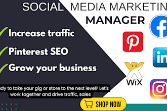 setup pinterest marketing linkedin ads facebook ads to promote shopify store