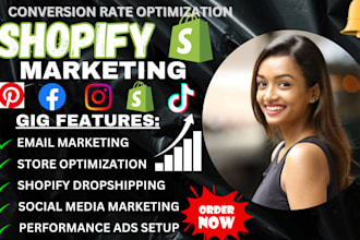 shopify dropshipping cro audit marketing store optimization for conversion