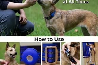 make product graphics photos for your amazon listings
