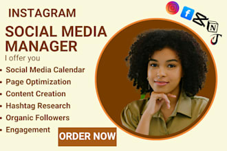 be your instagram social media manager, instagram marketing manager tiktok
