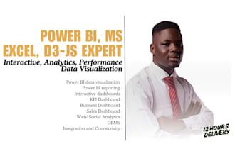 power bi dashboard power bi expert excel dashboard d3js data visualization
