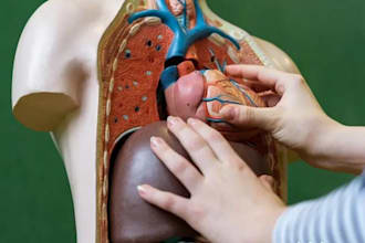 help in biology anatomy physiology histology biochemistry chemistry