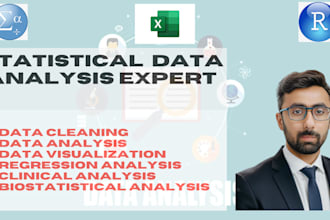 do data analysis, visualization, reporting using excel, r, spss