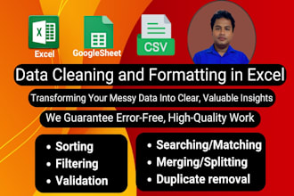 do ms excel data cleaning and formatting, merging, splitting, sorting, deduping
