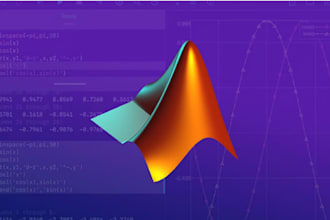 do matlab tasks, simulations , signal and image processing