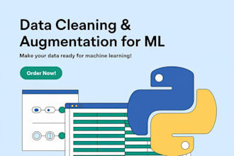 clean and augment your datasets for ml