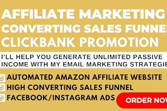 setup and manage facebook and instagram ads campaign
